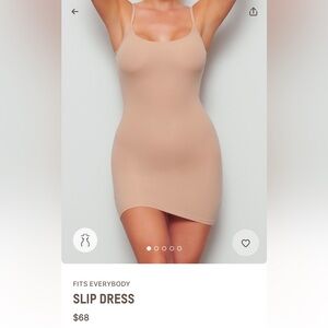 Brand New Skims Slip Dress